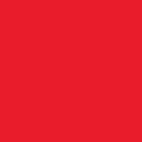 NYC USA flag Design