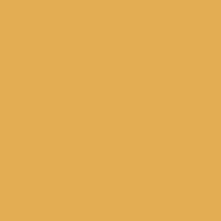 Dragon Colours Design