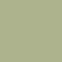 Wyoming Trout Design