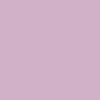 Manly Beach Design