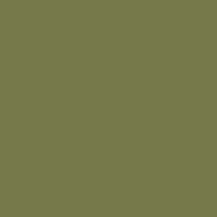 Fluffy Kiwi Design