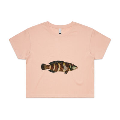 Tropical Aquarium Fish Thumbnail