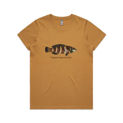 Tropical Aquarium Fish Thumbnail