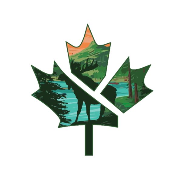 Canada moose Thumbnail