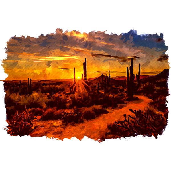 Scottsdale 2 Thumbnail