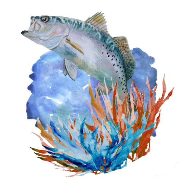 Fish watercolour Thumbnail