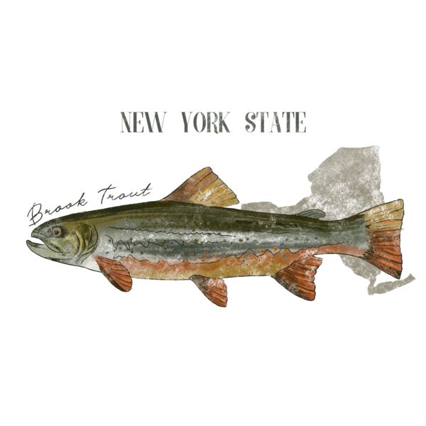 Brook trout Thumbnail