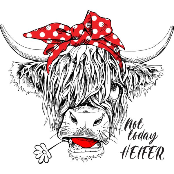 not today heifer Thumbnail