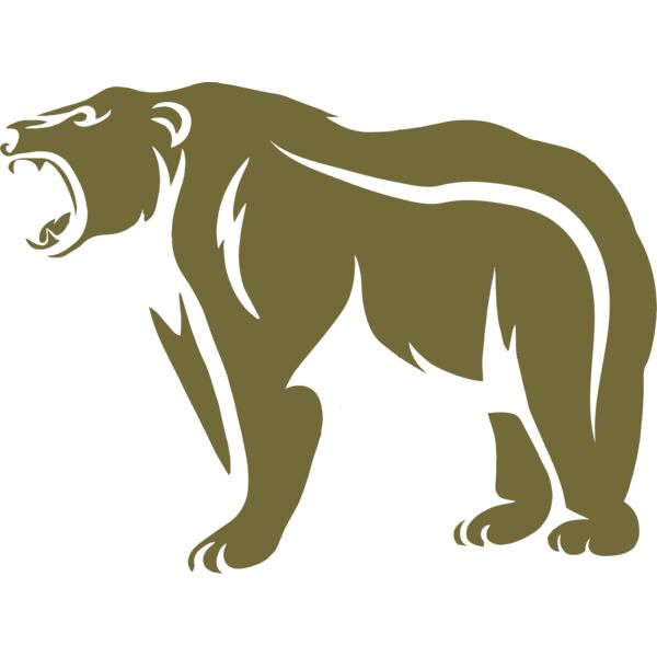 Angry Bears football team 2 Thumbnail