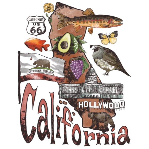 California state 2  used Thumbnail