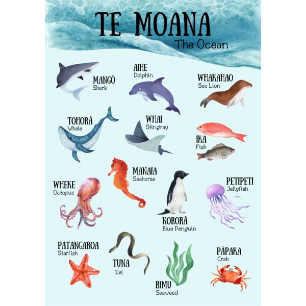 TheOcean Maori Thumbnail