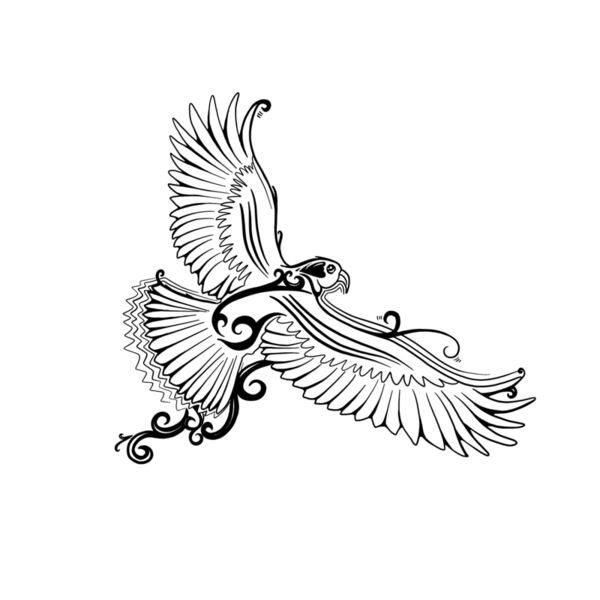 Kea black outline  not used Thumbnail