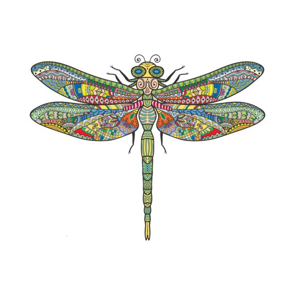 Dragonfly 7 Thumbnail