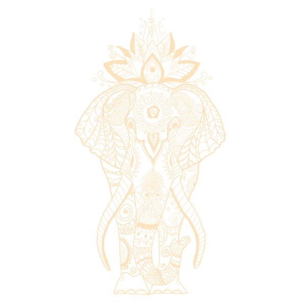 elephant 5 Thumbnail