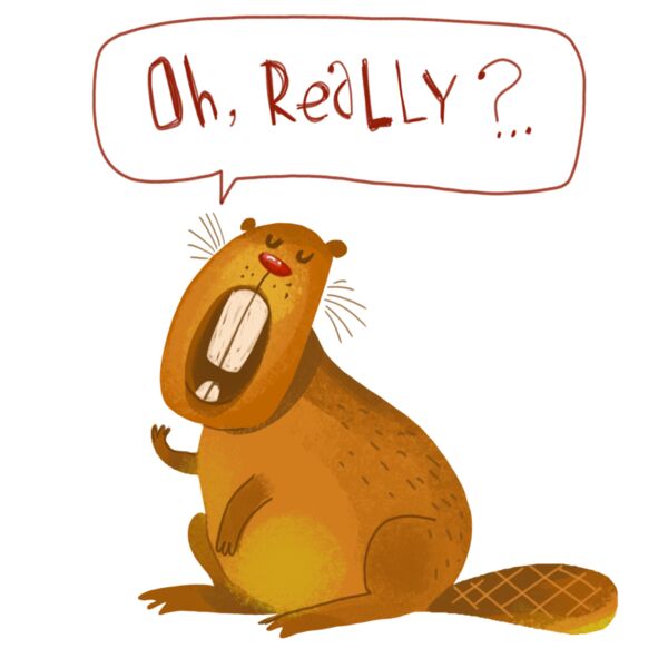 Crazy Zoo Animals  14  Thumbnail