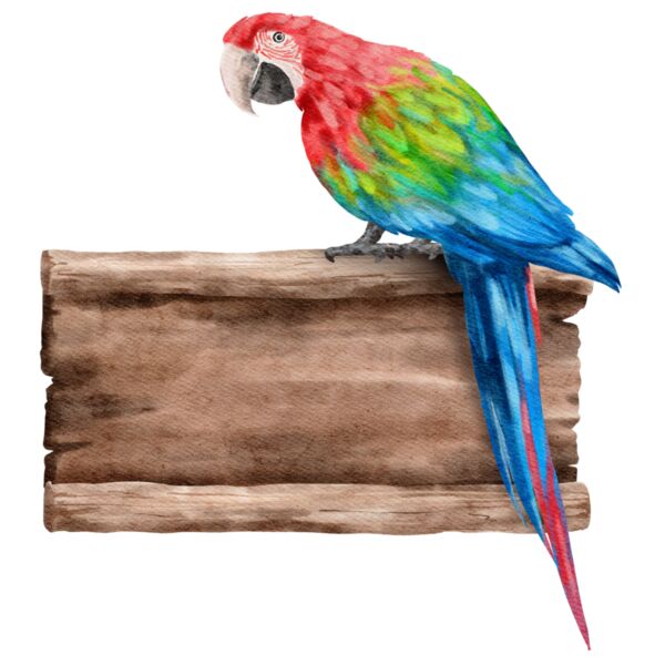 Parrot  2  Thumbnail