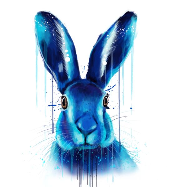 Rabbit Thumbnail