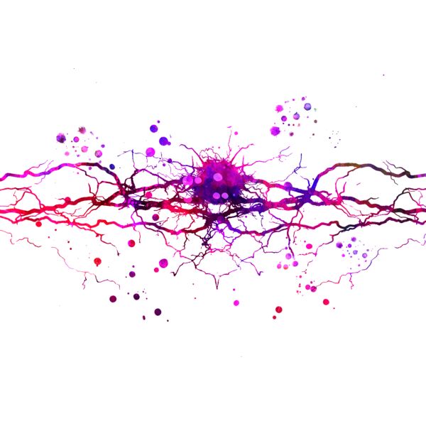 Neuron purple 1 Thumbnail
