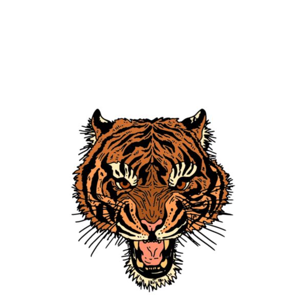 Freedom Boston tiger Thumbnail