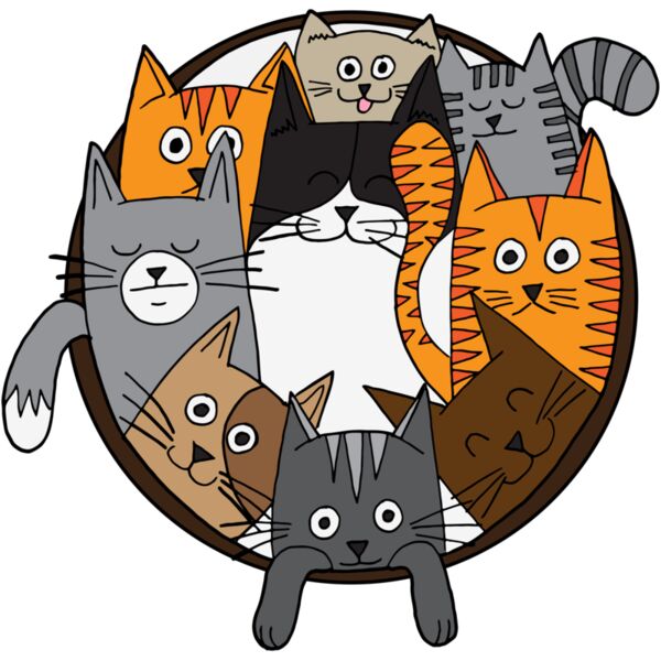 gang of cats Thumbnail