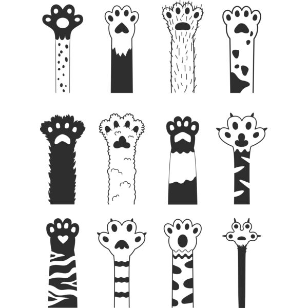 Paws trimmed Thumbnail